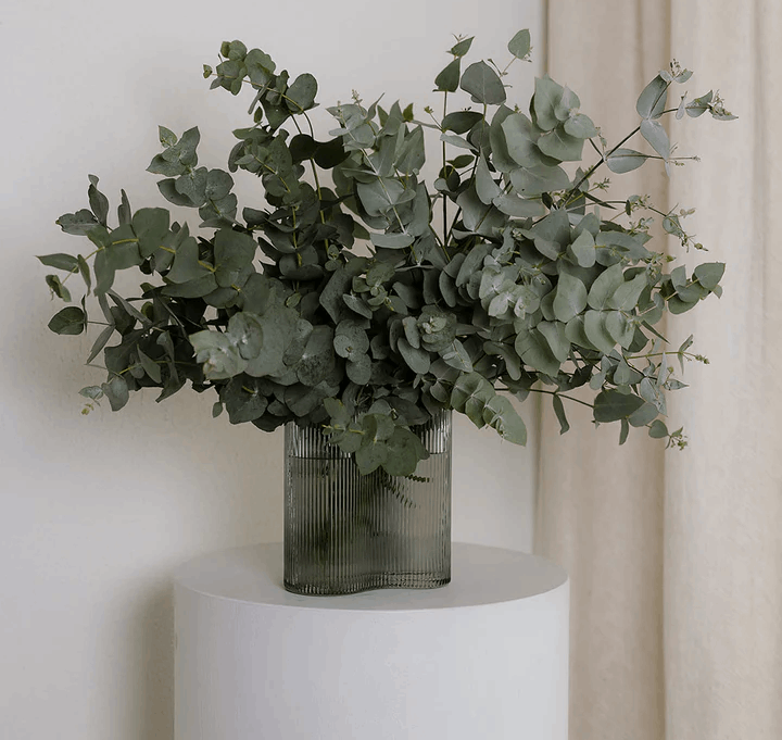 6 Benefits Of Fresh Flowers In The Home-Bloombar Flowers