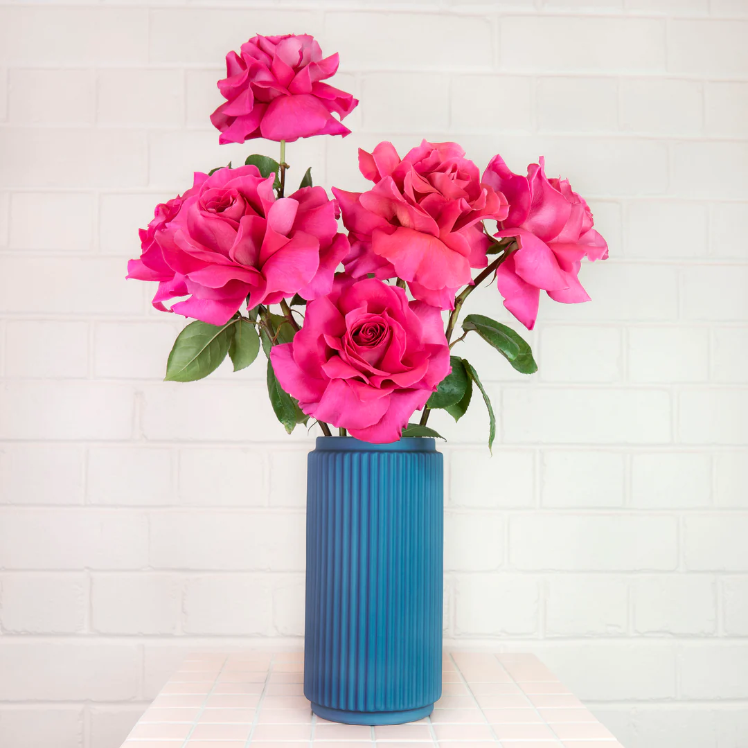 A Guide On How To Reflex Roses-Bloombar Flowers