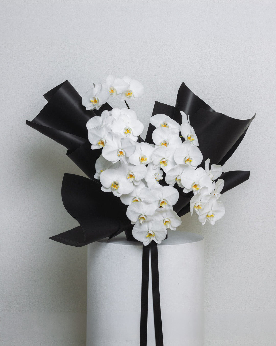 Florist Choice Phalaenopsis Orchid