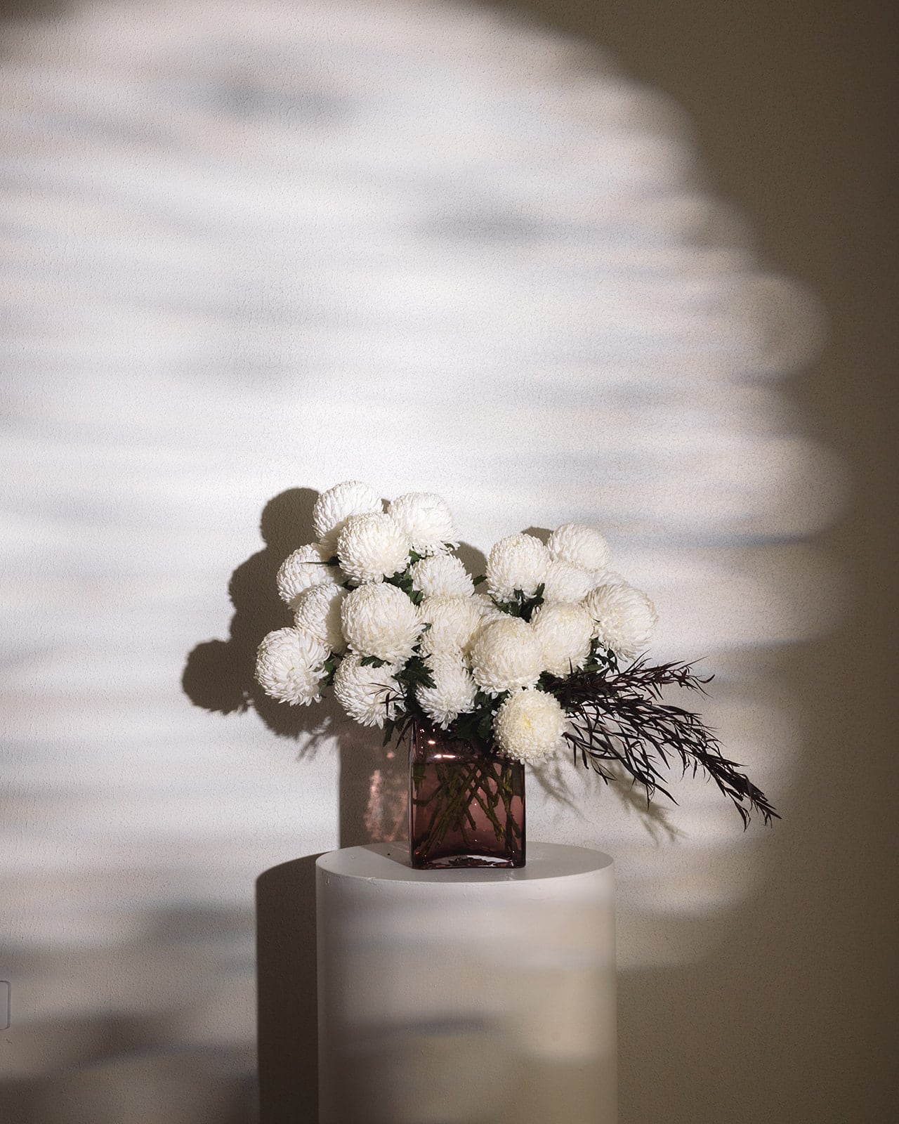 Mother’s Day Chrysanthemums