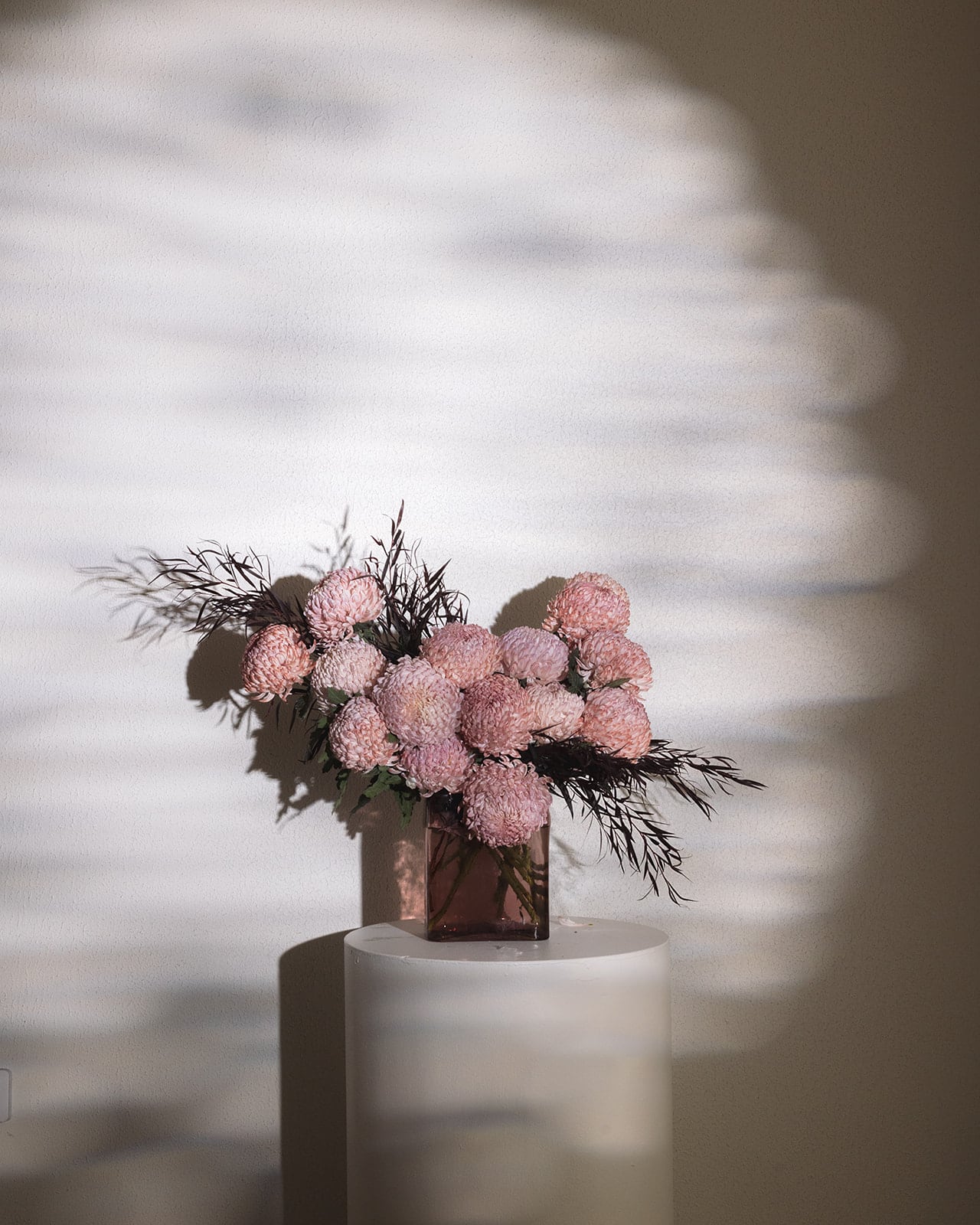 Mother’s Day Chrysanthemums