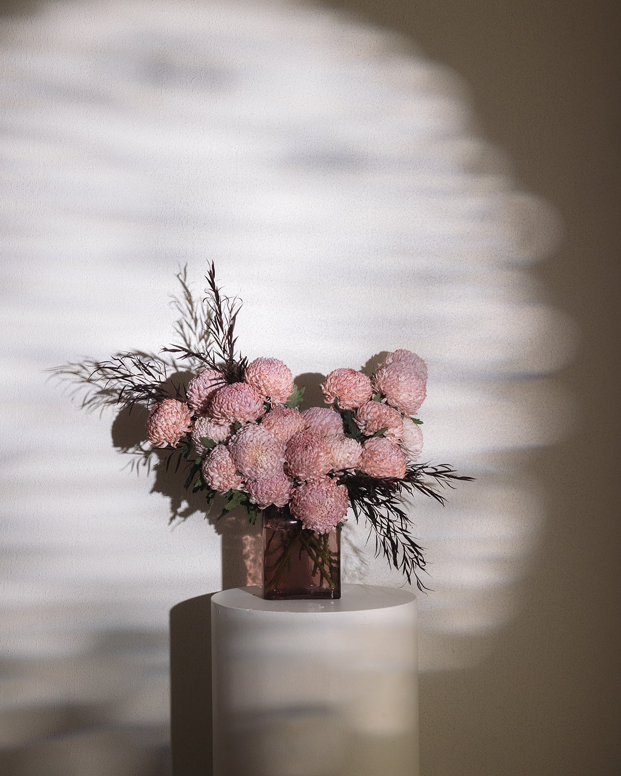 Mother’s Day Chrysanthemums