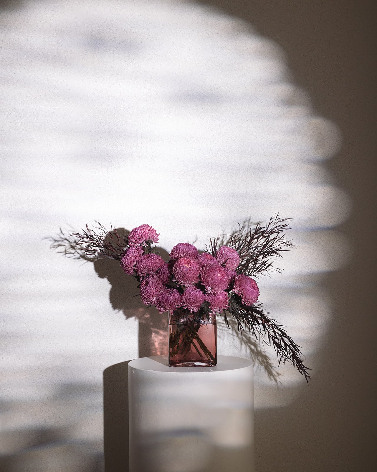 Mother’s Day Chrysanthemums