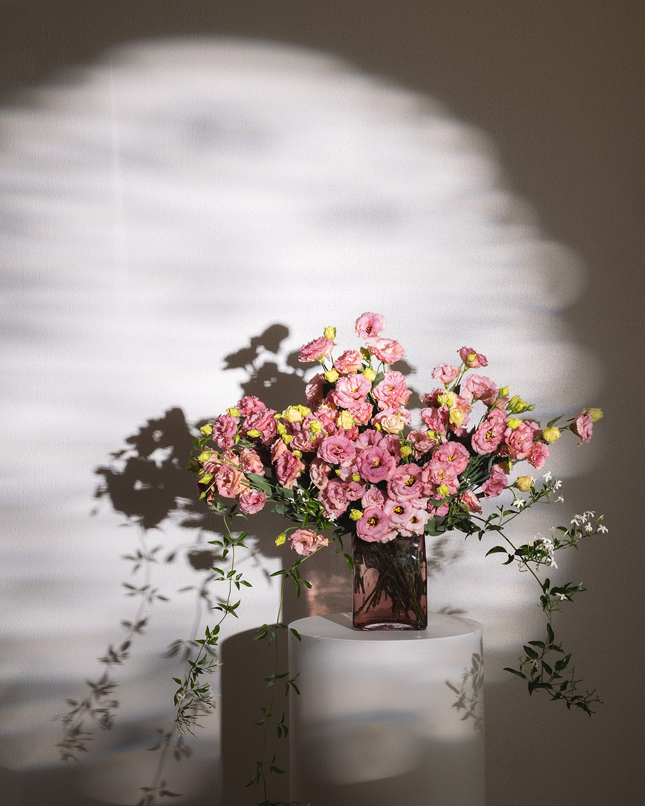 Mother’s Day Lissianthus