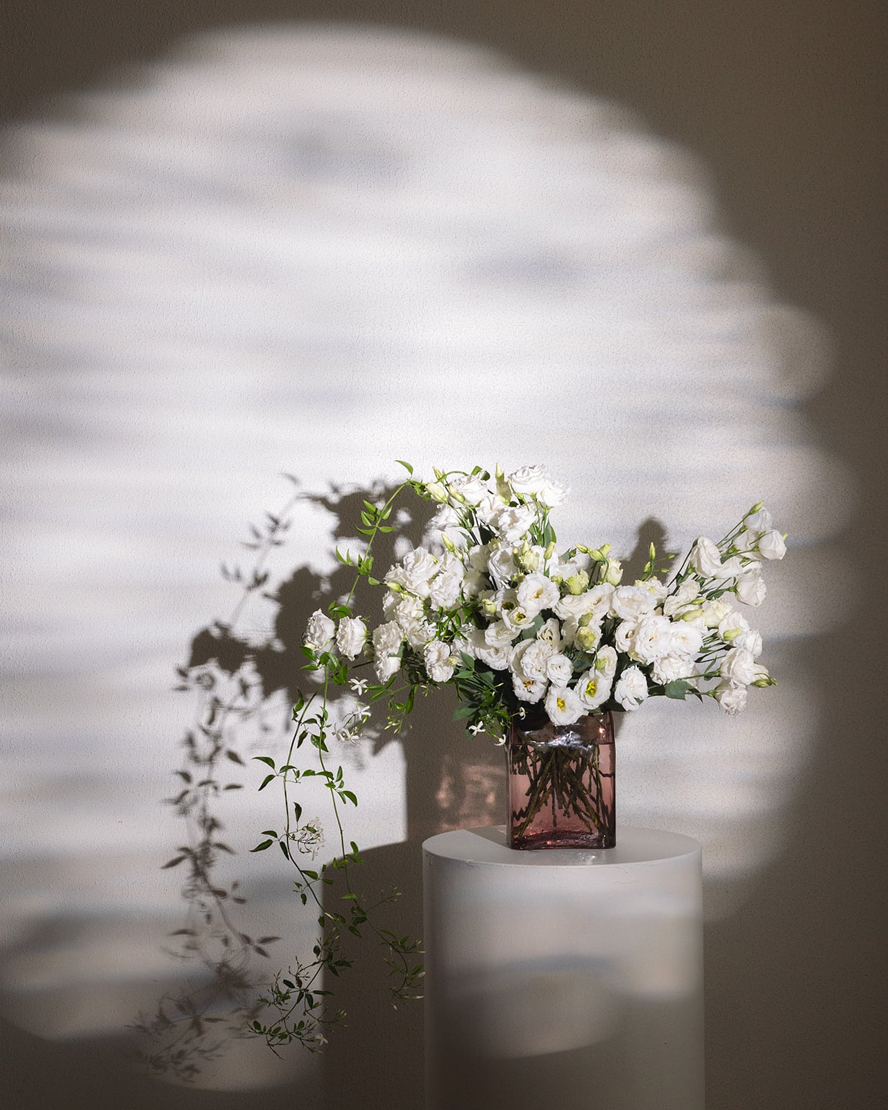 Mother’s Day Lissianthus