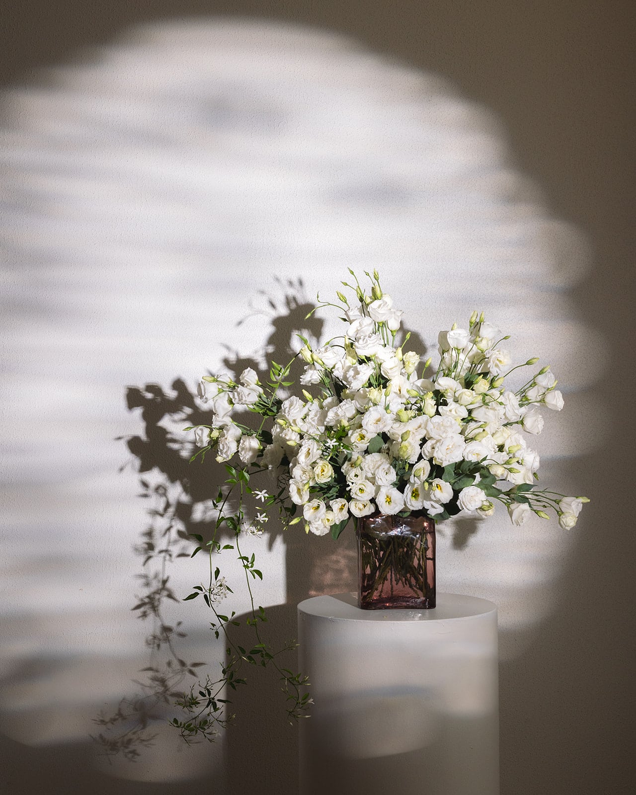 Mother’s Day Lissianthus