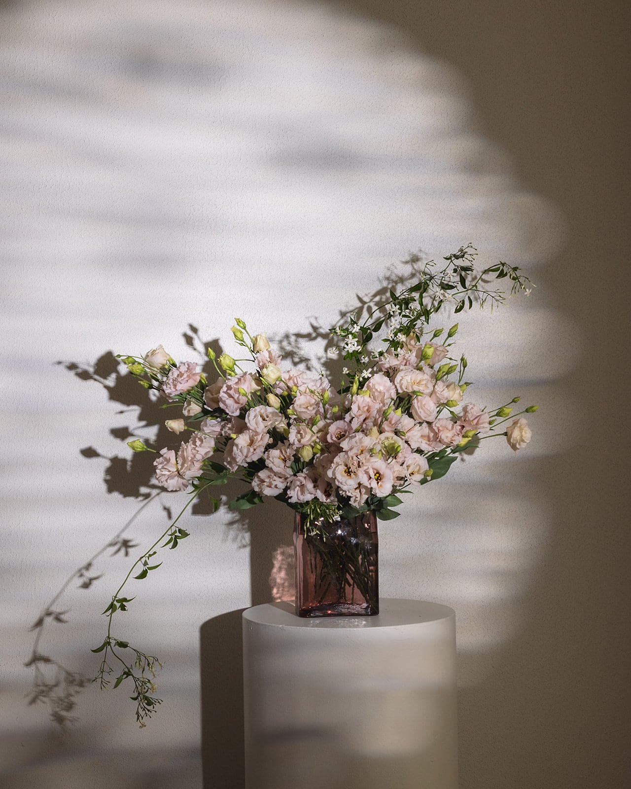 Mother’s Day Lissianthus