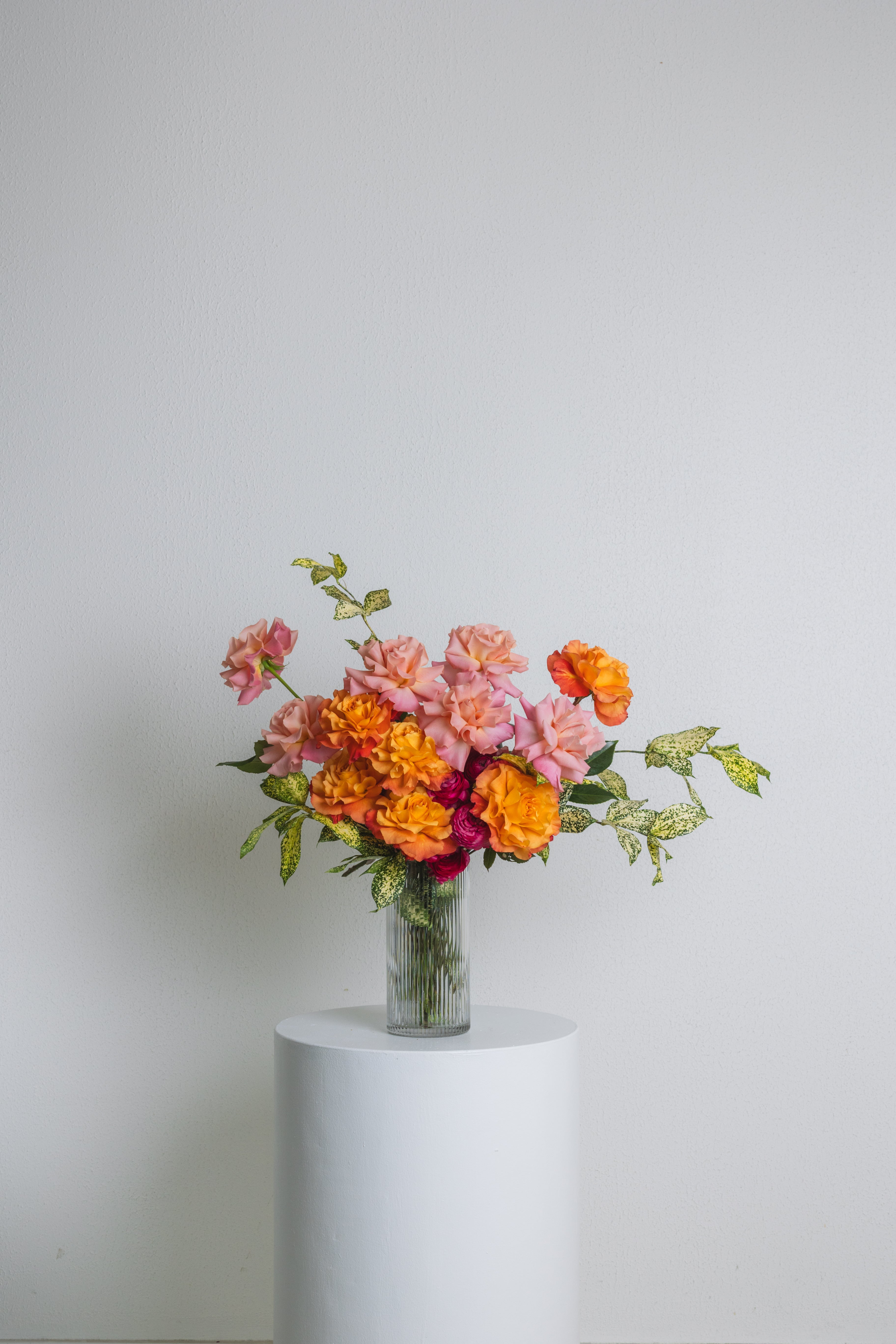 Fruit Tingle ~ Bright & Colourful