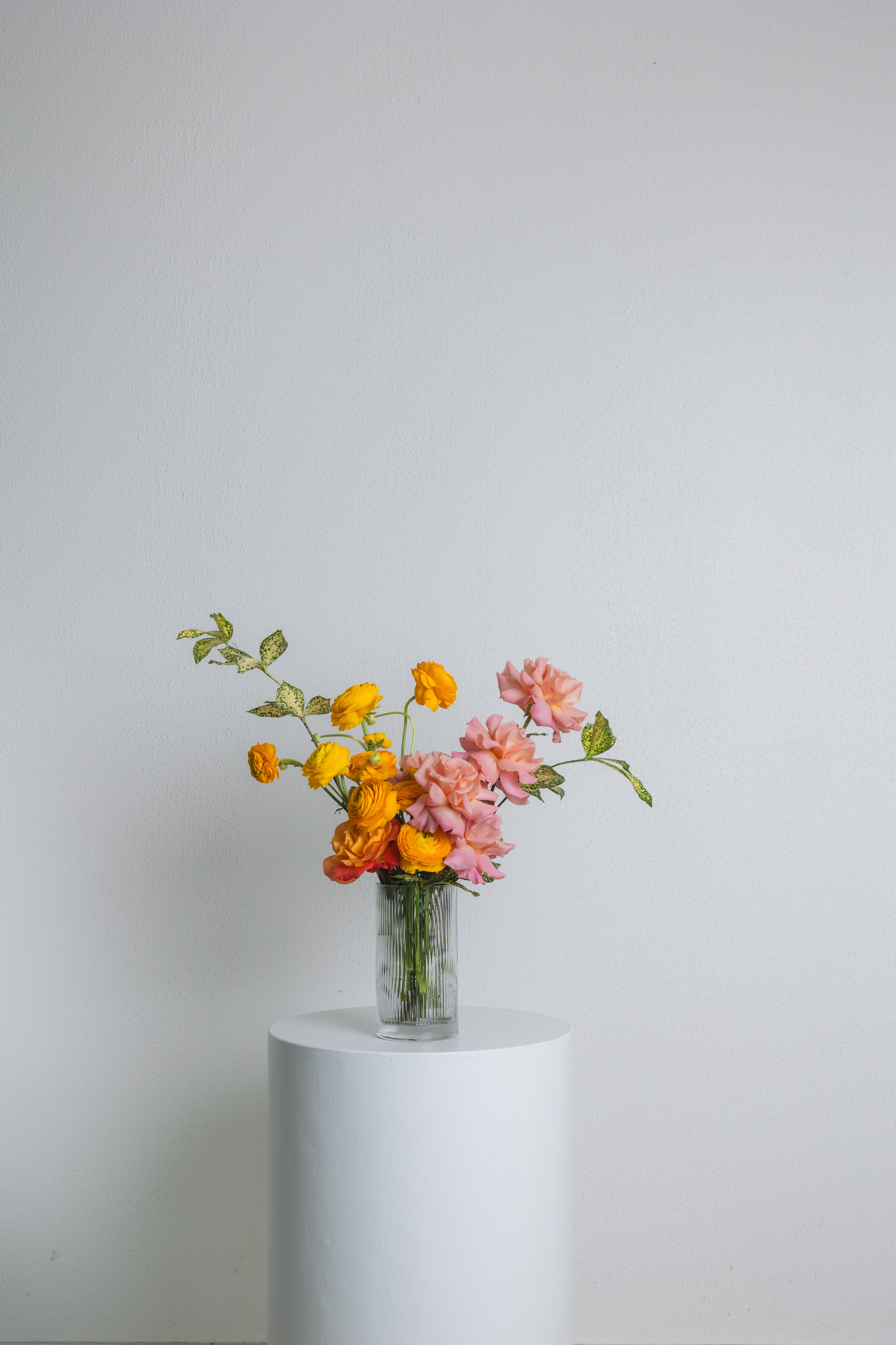 Fruit Tingle ~ Bright & Colourful