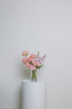 High Femme ~ Pink