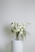 Monochrome ~ White