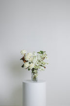 Monochrome ~ White