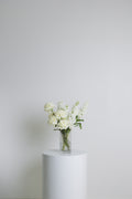 Monochrome ~ White