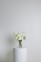 Monochrome ~ White