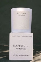 Studio Sol Candles