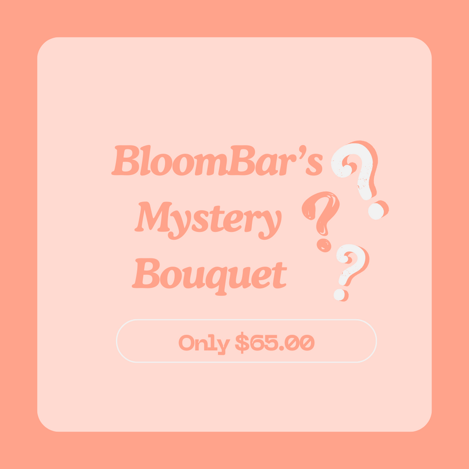 BloomBar's Mystery Bouquet