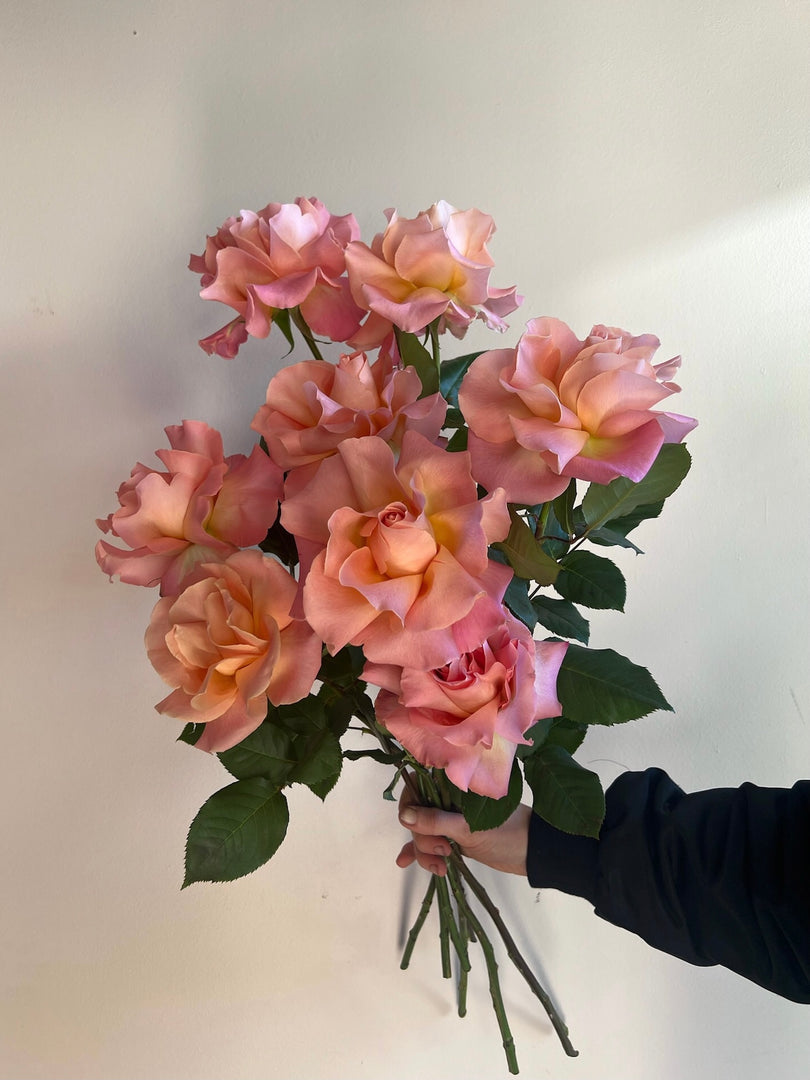 Reflexed Rose Bouquet - Adelaide Flower Delivery – Bloombar Flowers