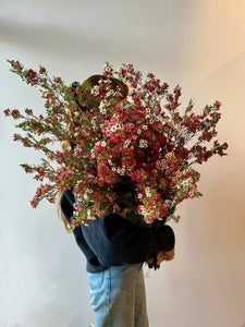 Festive Flowering Foliage