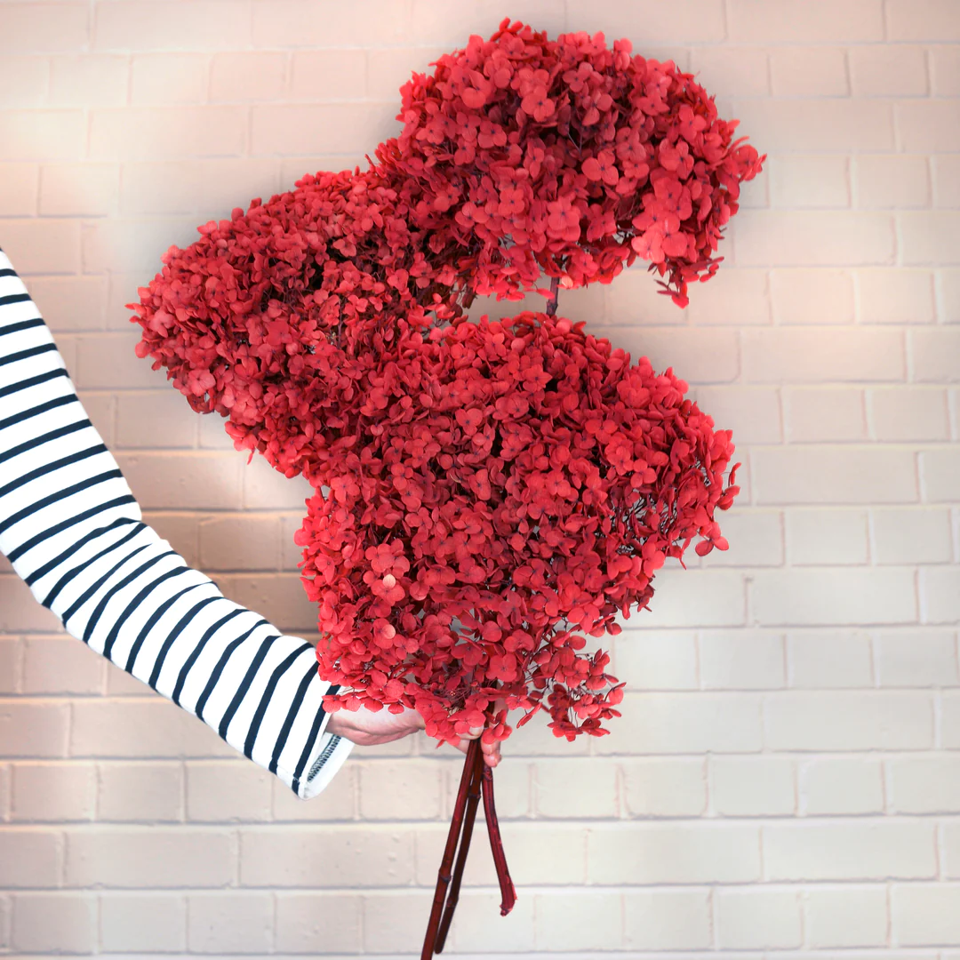 are flowers a good housewarming gift? - hydrangeas