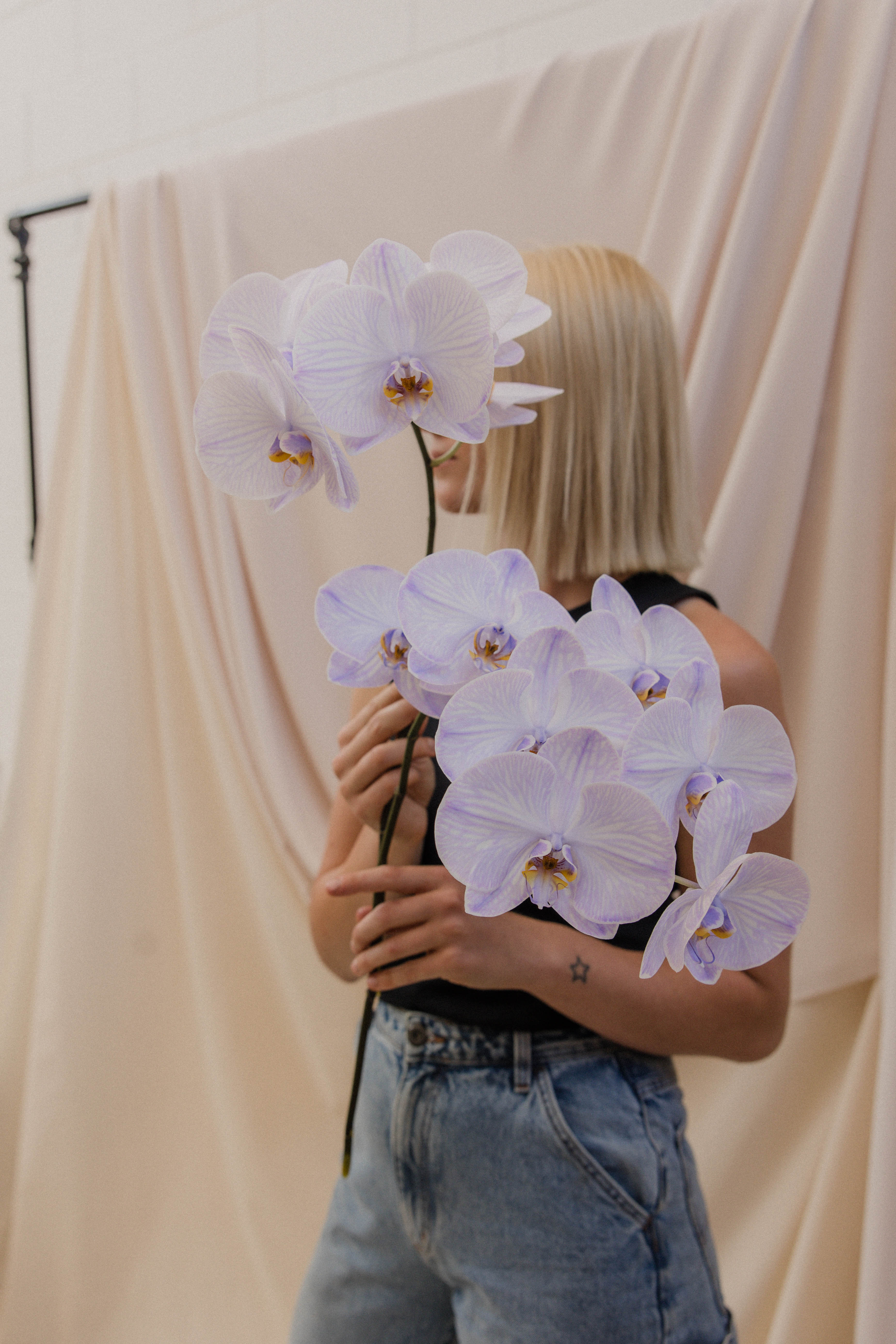 Phalaenopsis Orchid Stems